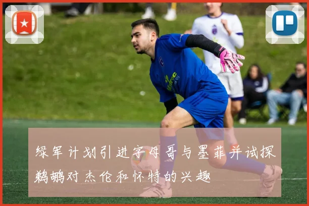 绿军计划引进字母哥与墨菲并试探鹈鹕对杰伦和怀特的兴趣