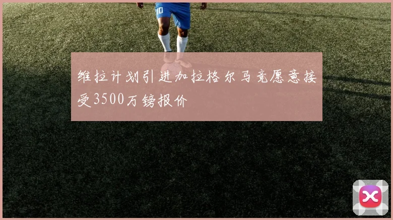 维拉计划引进加拉格尔马竞愿意接受3500万镑报价